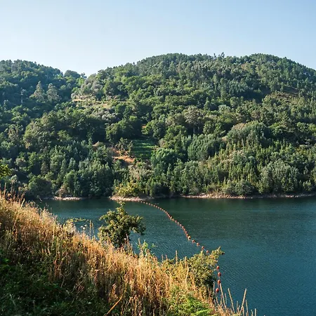 Casa Lobos By Quantique